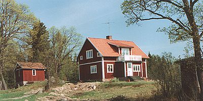 Frasse, en westie i Värmland