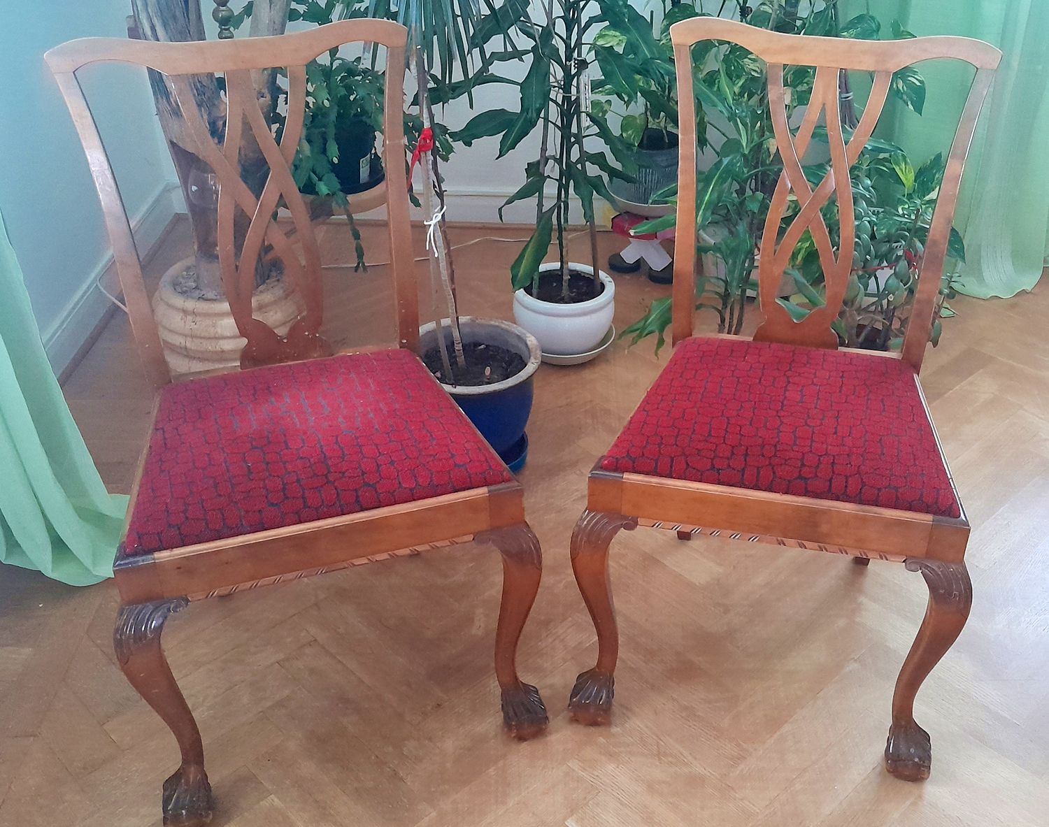 Ett par stolar i chippendale-stil